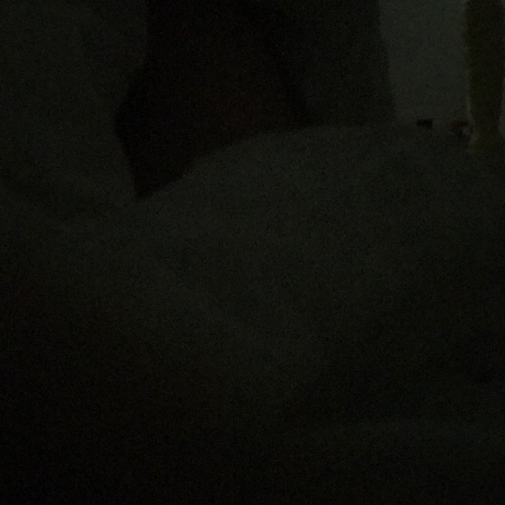 Meet your Posher, Dylan